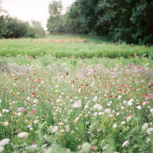 Load image into Gallery viewer, 2025 Flower U-Pick - Booking Reservation
