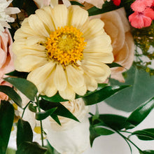 Load image into Gallery viewer, Zinnia - Giant Dahlia Creamy Yellow Seed
